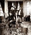 Photo de viveleraf