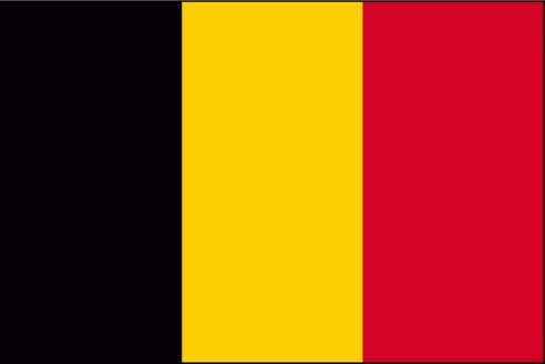 drapeau-belgique-15090-cm.jpg.798b79944b1add0652e694af505557f0.jpg