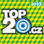 Top20.cz 2013/1