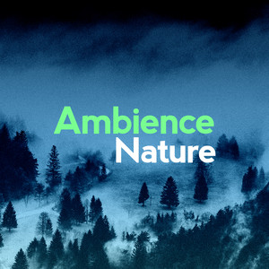 Ambiance nature - Ambience Nature