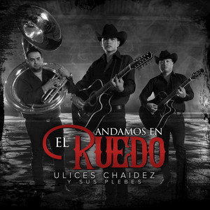 Ulices Chaidez Y Sus Plebes Tous Les Albums Et Les Singles pure charts