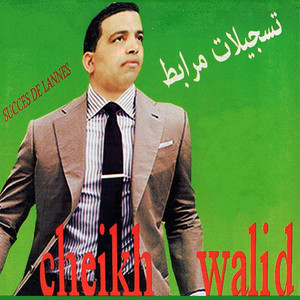 Walid el cheikh thesis 03 image