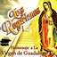 Homenaje a La Virgen de Guadalupe...