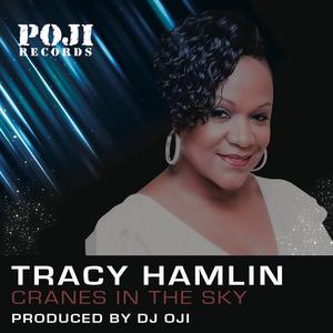 Tracy Hamlin Tous Les Albums Et Les Singles tracy hamlin tous les albums et les singles
