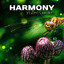 Harmony in Zen Garden: Music Ther...