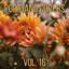 Pop Piano Covers, Vol. 16