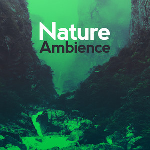 Nature Ambience - Nature Ambience