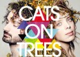 Cats on Trees fait fondre la France : écoutez !