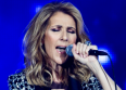 Céline Dion : son concert interrompu pour un fan