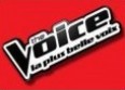 Florent Pagny : "le niveau de The Voice est bon"