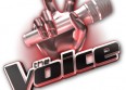 Audiences TV 2014 : The Voice cartonne !