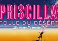"Priscilla, folle du désert" débarque en France