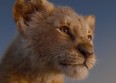"Le Roi Lion" : une nouvelle bande-annonce