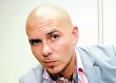 Pitbull