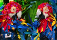 "Mask Singer" : qui sont les Perroquets ?