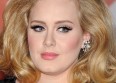 Adele annule encore sa tournée américaine