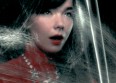 Björk : un coffret pour fêter ses 50 ans