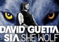 David Guetta : le single "She Wolf" en écoute