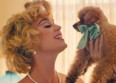 Défilé de chiens pour "Small Talk" de Katy Perry