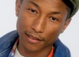 Vieilles Charrues : Pharrell Williams dit oui !