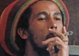 Bob Marley devient... une marque de cannabis