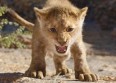 "Le Roi Lion" bat des records au box-office FR