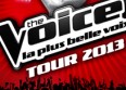 "The Voice" en concert à Bercy le 29 juin 2013 !