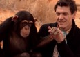 Marc Lavoine dévoile "Je descends du singe"