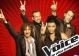 "The Voice" : les quatre coachs pour la saison 3