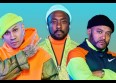 Black Eyed Peas : disque d'or pour "Translation"
