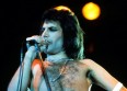 Freddie Mercury aurait eu 65 ans ce lundi