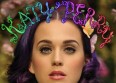 Katy Perry : votez pour les Créa'Pochettes