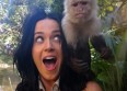 Katy Perry dévoile le clip de son tube "Roar"
