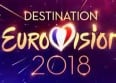 Destination Eurovision : un 1er candidat dévoilé !