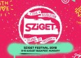 Sziget Festival : 3 raisons d'y aller