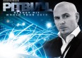 Pitbull