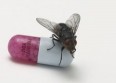 Les Albums 2011 : Red Hot Chili Peppers, "I'm With You"