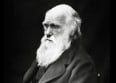 Le tube parfait en une leçon, par Charles Darwin