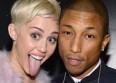 USA : Pharrell Williams choisit "Come Get It Bae"