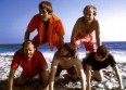 The Beach Boys peaufinent leur prochain album
