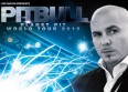 Concours Pitbull