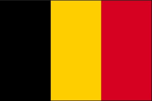 drapeau-belge-.jpg.4ab4e87037d02d0267c282eba6b86eec.jpg