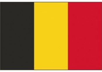 drapeau-belgique.jpg.d3db27ceb26d8b8d5119b9f14cbe872c.jpg