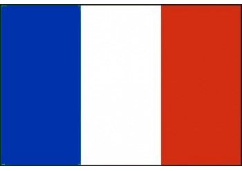 drapeau-france.jpg.d635cd4f5ef2279bc3ae107c85740229.jpg