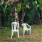 image.png.7e71066774967c45d769c8f2b9a0ab65.png