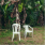 image.png.f6dfabb5dab29b7cce49c27e5ffecc11.png