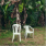 image.png.6f629834cfca26fd51dddac953e2277c.png