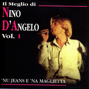 Il Meglio Di Nino D'angelo, Vol. 