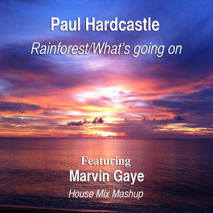 Rainforest/what's Going On (house