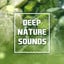 Deep Nature Sounds  Healing Soun
